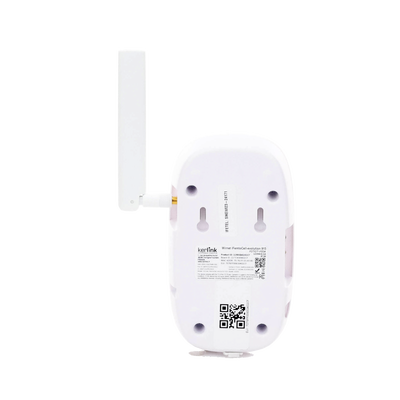 IFEMTOCELL-EVOLUTION - 6