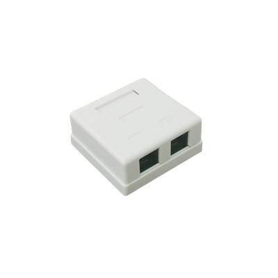 Caja de Pared con Jack UTP Cat5e y Jack RJ11 Telefónico | LP-WP-09