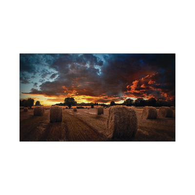 Pantalla Profesional de 46" para Video Wall, Full HD (1080p), HDMI/DVI-D, Bisel Ultra Delgado de 2.25mm. Compatible VESA | VM46BU