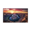 Pantalla Profesional LED de 65", UHD 4K (3840x2160p), Entradas de Video HDMI/DisplayPort, Bocinas Integradas de 10 W. Compatible VESA. Modo de Simulación DICOM | QM65CE