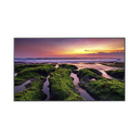 Pantalla Profesional LED de 65", UHD 4K (3840x2160p) / Entradas de Video HDM / Bocinas Integradas de 10 W. Compatible VESA / compatible con MagicInfo | QB65C