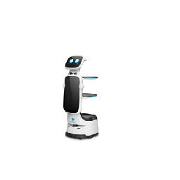 [T11LS] Robot de Servicio Dinerbot T11 / Navegación en Pasillos 49 cm (19.3 in) / 5 Sensores Visión Estereoscópica / VSLAM / IA Recogida Autónoma / Pantalla 18.5" / Chasis 6 Ruedas | T11LS
