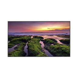 [QB65C] Pantalla Profesional LED de 65", UHD 4K (3840x2160p) / Entradas de Video HDM / Bocinas Integradas de 10 W. Compatible VESA / compatible con MagicInfo | QB65C